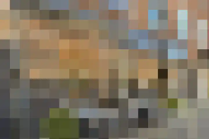 Cliostraat 29 1 Amsterdam thumbnail 45
