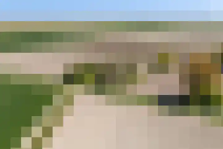 Clompen Camp 3 Sambeek thumbnail 24
