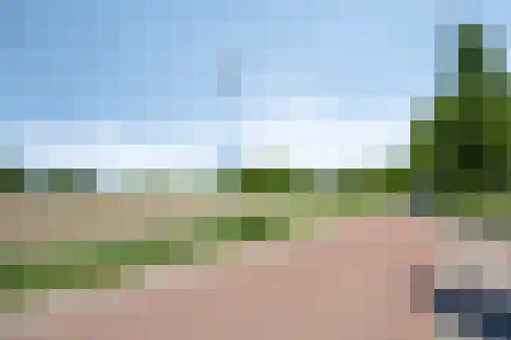 Clompen Camp 3 Sambeek thumbnail 24