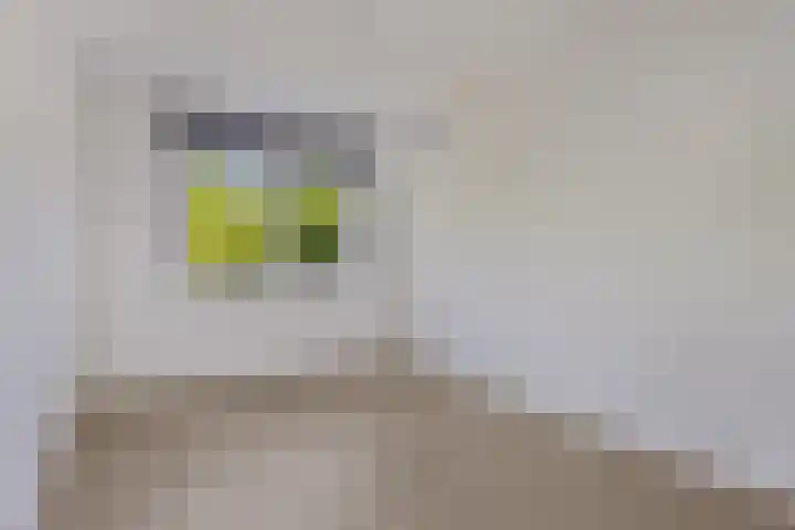 Clompen Camp 3 Sambeek thumbnail 4