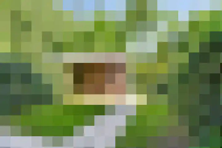 Clompen Camp 3 Sambeek thumbnail 6