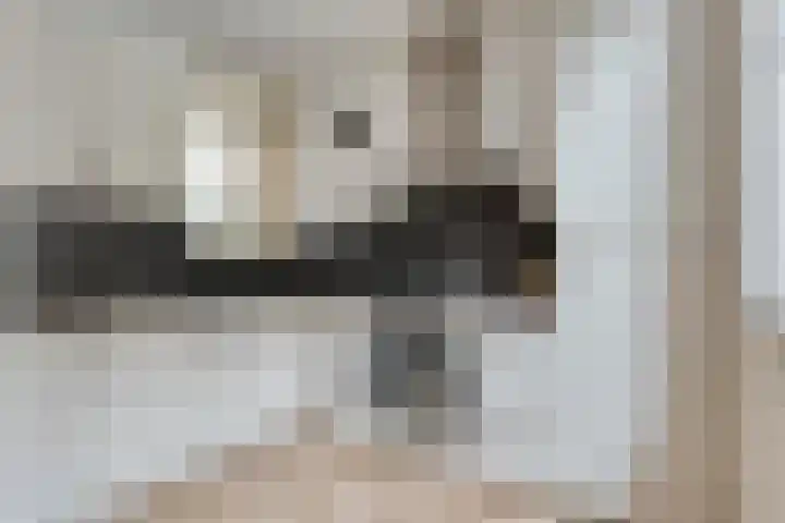 Clovishof 4 Venray thumbnail 17