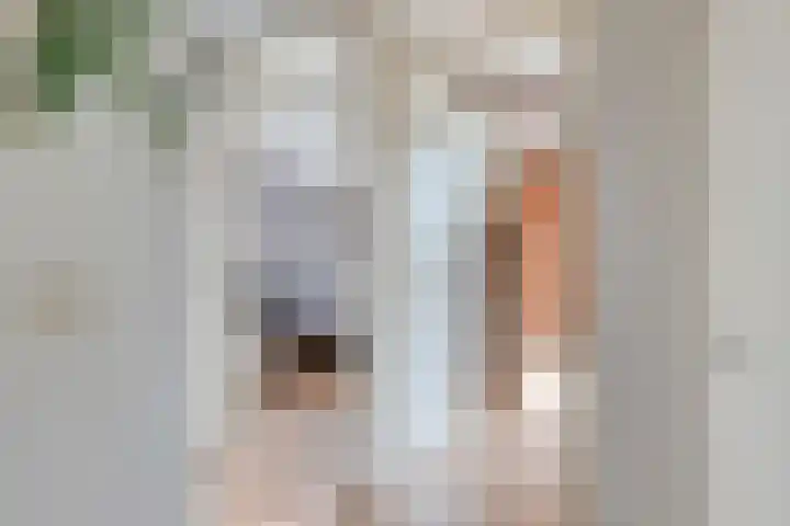Clovishof 4 Venray thumbnail 22