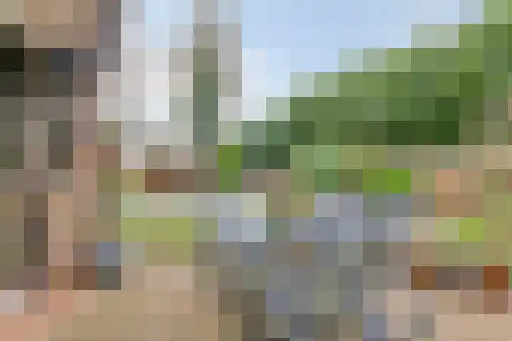 Clovishof 4 Venray thumbnail 27