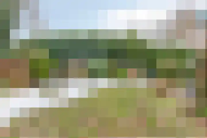 Clovishof 4 Venray thumbnail 29