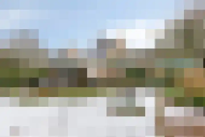 Clovishof 4 Venray thumbnail 30