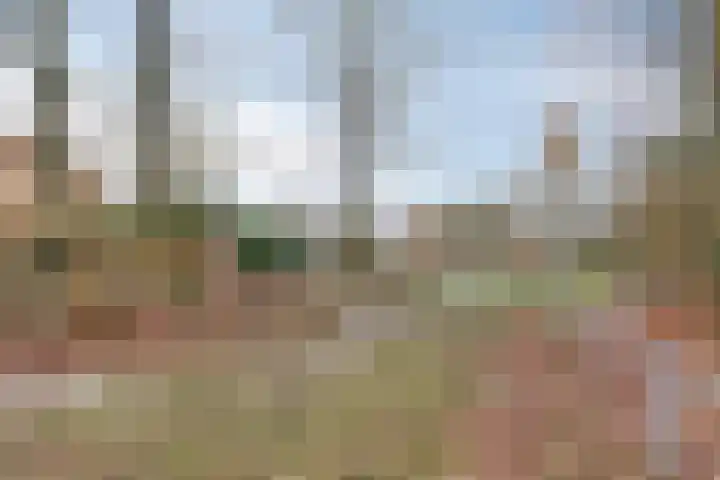 Clovishof 4 Venray thumbnail 31