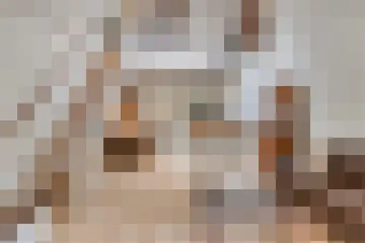 Clovishof 4 Venray thumbnail 4
