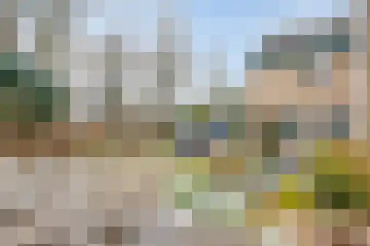 Clovishof 4 Venray thumbnail 6