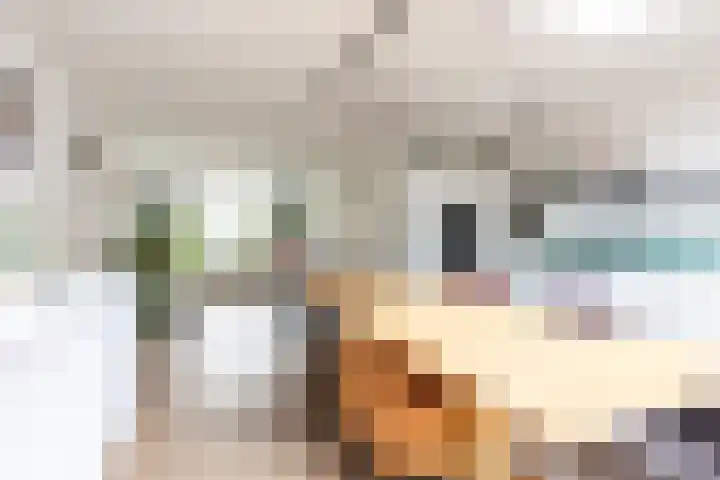 Clovisstraat 19 Haarlem thumbnail 11