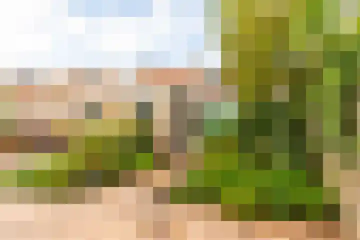 Clovisstraat 19 Haarlem thumbnail 4