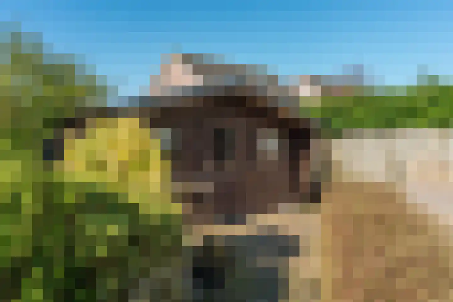 Clusepad 1 Herwen thumbnail 49