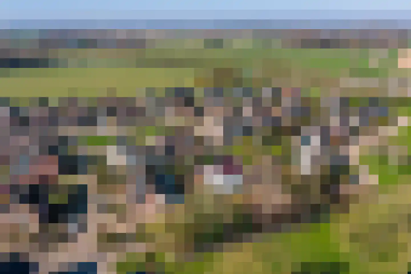 Clusepad 1 Herwen thumbnail 57