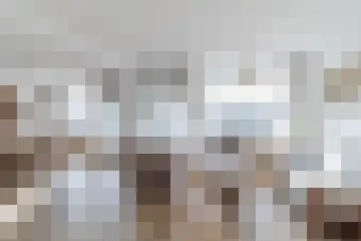 Clusiuserf 25 Boskoop thumbnail 13