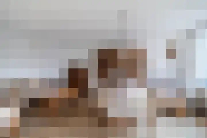 Clusiuserf 25 Boskoop thumbnail 14