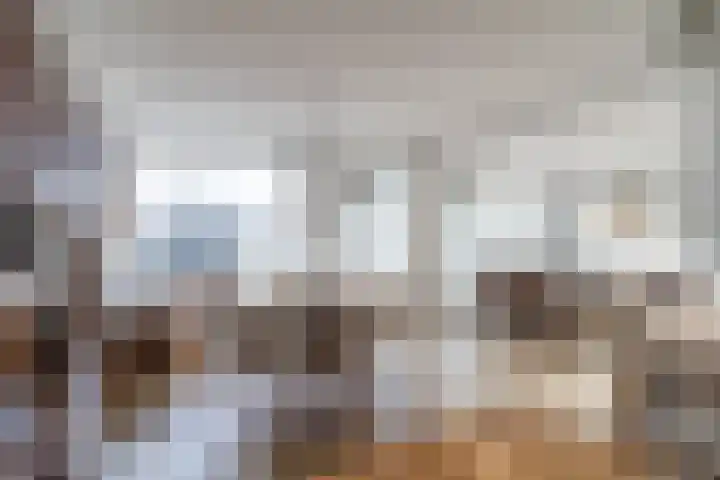 Clusiuserf 25 Boskoop thumbnail 15