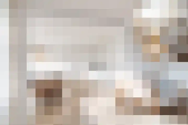 Clusiuserf 25 Boskoop thumbnail 17