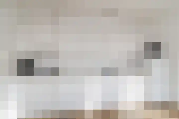 Clusiuserf 25 Boskoop thumbnail 19