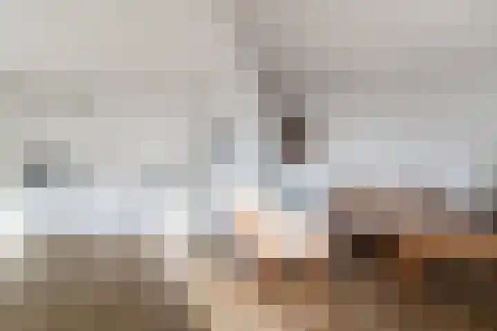 Clusiuserf 25 Boskoop thumbnail 20