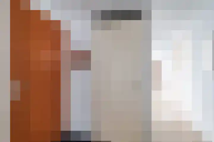 Clusiuserf 25 Boskoop thumbnail 21