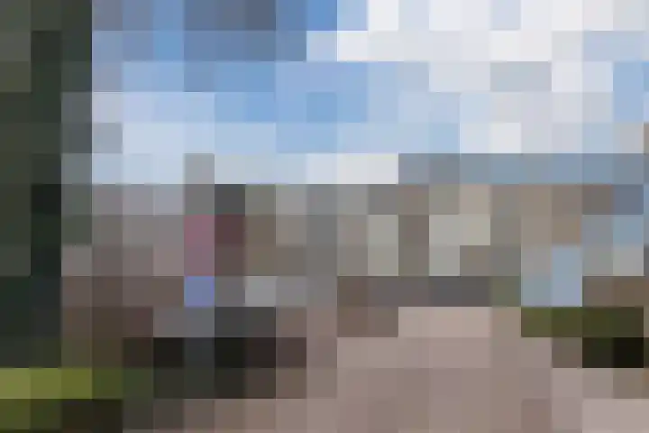 Clusiuserf 25 Boskoop thumbnail 32