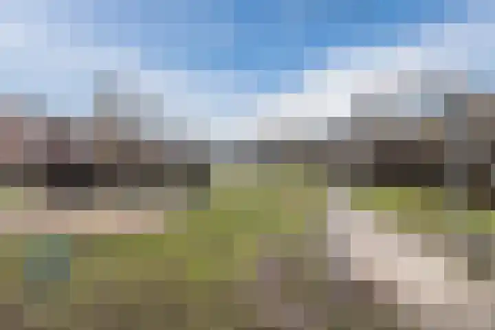 Clusiuserf 25 Boskoop thumbnail 33