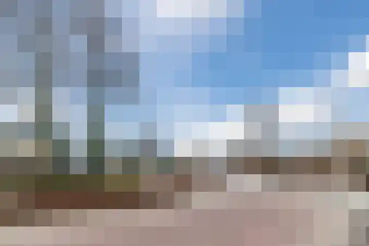 Clusiuserf 25 Boskoop thumbnail 35
