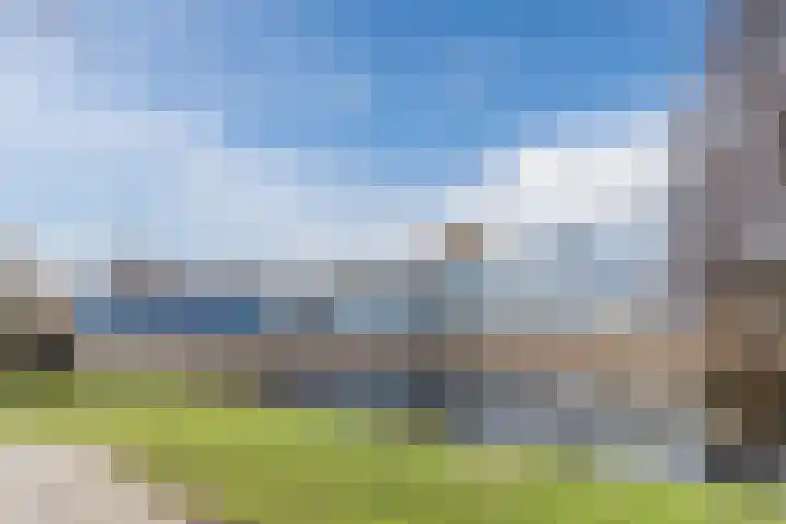 Clusiuserf 25 Boskoop thumbnail 36