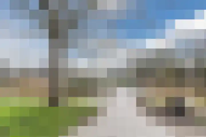 Clusiuserf 25 Boskoop thumbnail 37