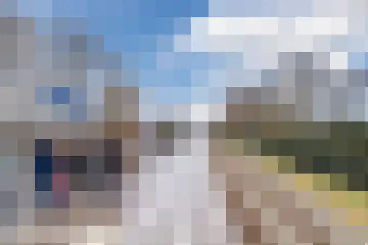 Clusiuserf 25 Boskoop thumbnail 40