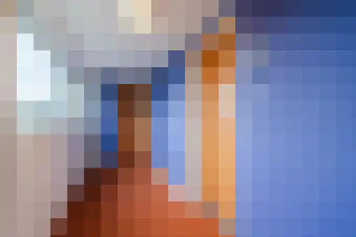Clusiuserf 25 Boskoop thumbnail 7
