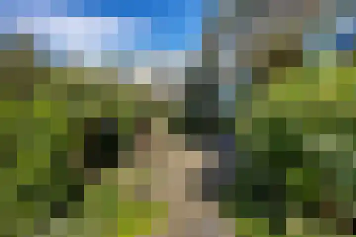Clusiuserf 3 Boskoop