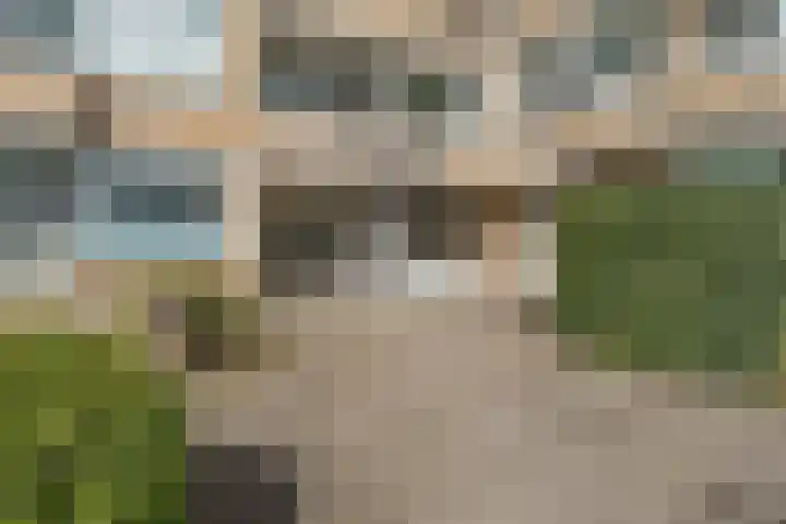 Clusiuserf 4 Boskoop thumbnail 25