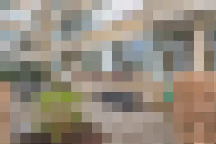 Clusiuserf 4 Boskoop thumbnail 5