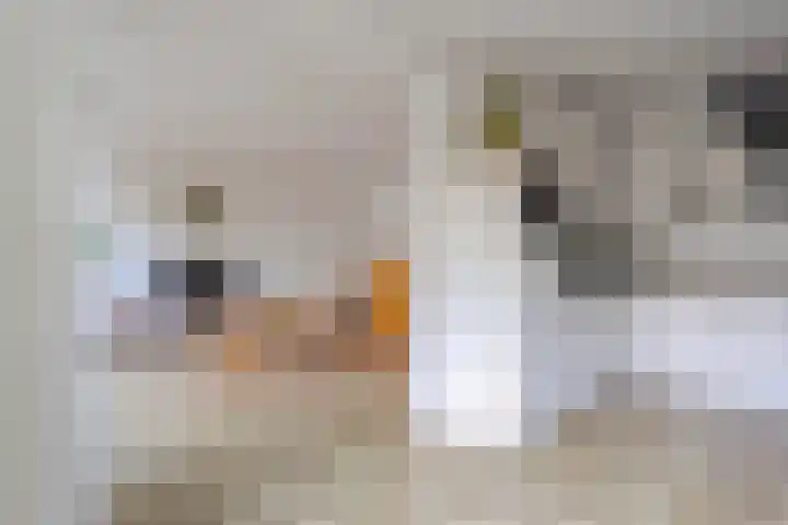 Clusiuserf 4 Boskoop thumbnail 8