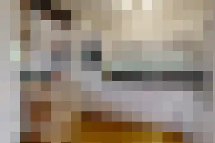 Clusiuslaan 16 Limmen thumbnail 13