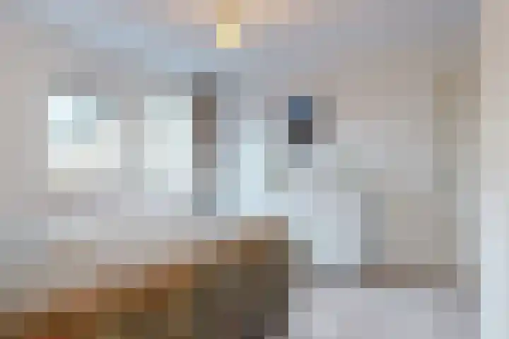 Clusiuslaan 16 Limmen thumbnail 21