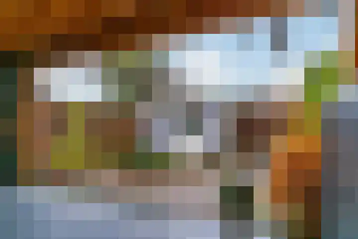 Clusiuslaan 16 Limmen thumbnail 35