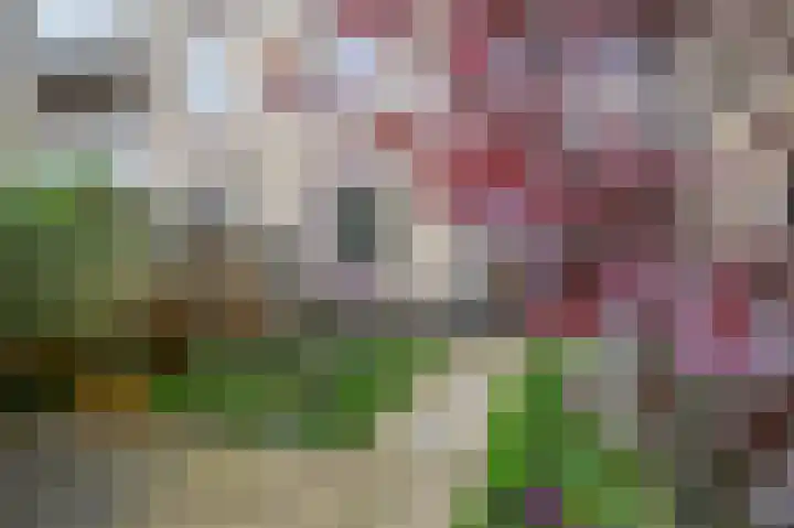 Clusiusstraat 120 Lisse thumbnail 27