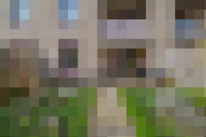 Clusiusstraat 120 Lisse thumbnail 28