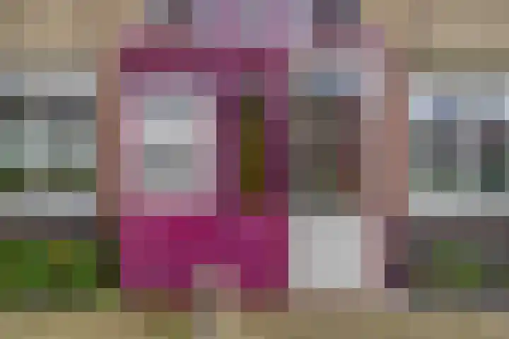 Clusiusstraat 120 Lisse thumbnail 30