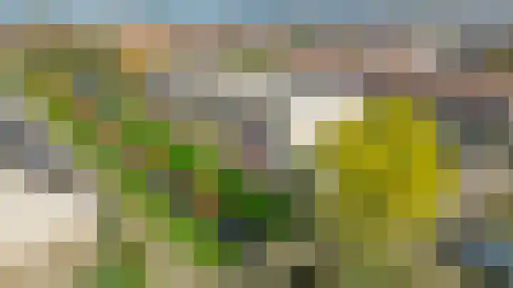 Clusiusstraat 120 Lisse thumbnail 33