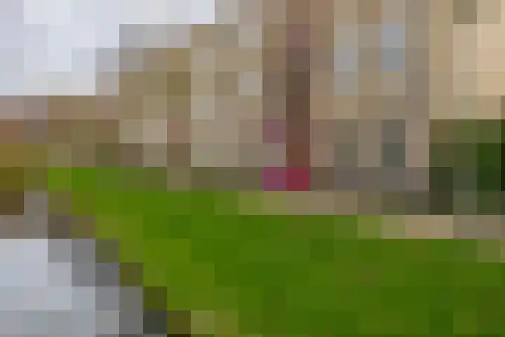 Clusiusstraat 120 Lisse thumbnail 4