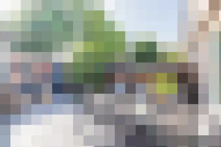 Clusiusstraat 30 Lisse thumbnail 4