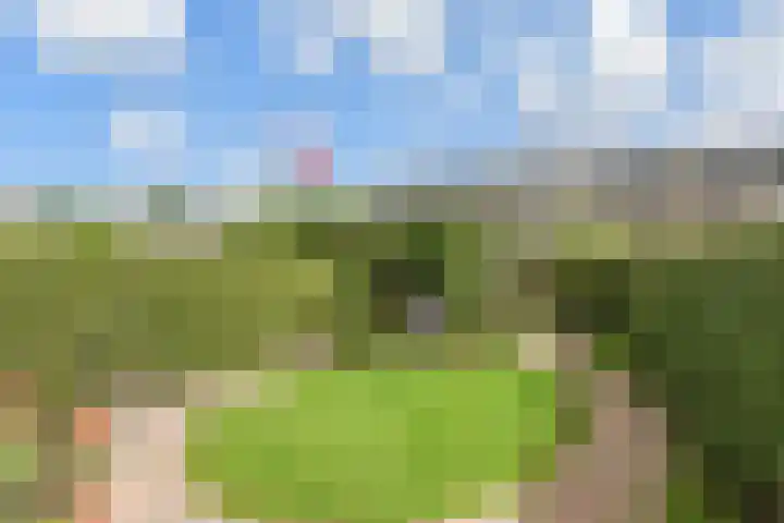 Coba Ritsemastraat 23 Pijnacker thumbnail 37