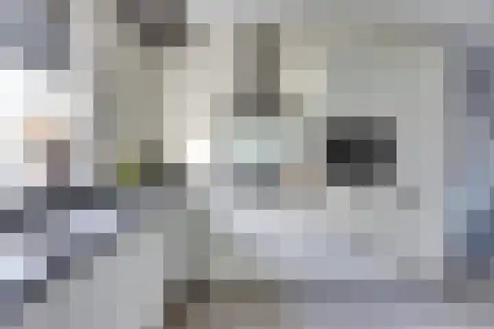 Cobra 52 Dronten thumbnail 11