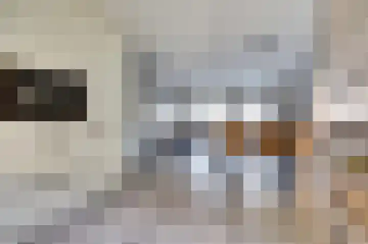 Cobra 52 Dronten thumbnail 12