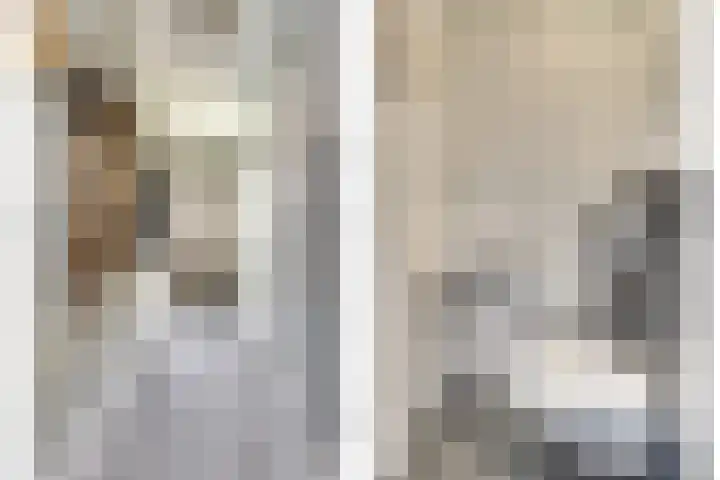 Cobra 52 Dronten thumbnail 14