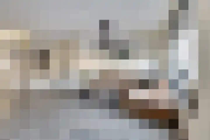 Cobra 52 Dronten foto 2