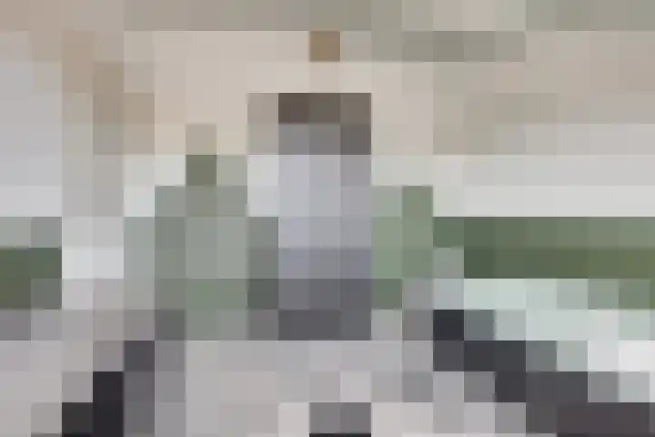 Cobra 52 Dronten thumbnail 27